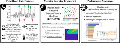 A Machine Learning Approach to Monitor the Emergence of Late Intrauterine Growth Restriction